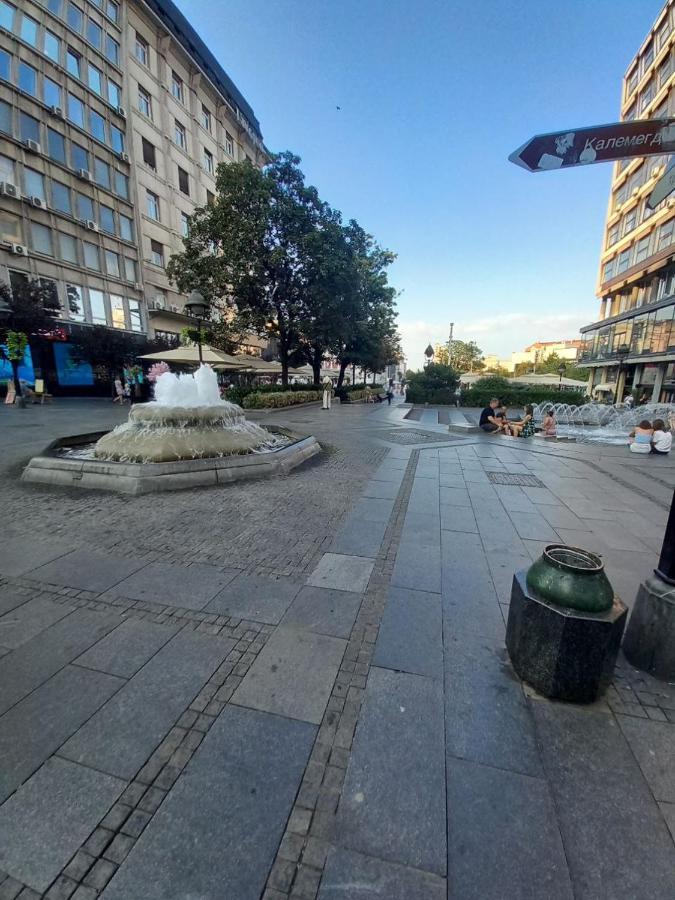 Apartament Skardarlija Pijaca Studio Belgrad Zewnętrze zdjęcie