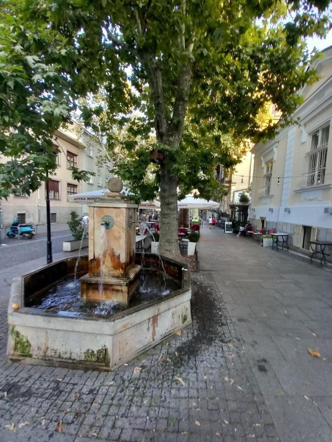 Apartament Skardarlija Pijaca Studio Belgrad Zewnętrze zdjęcie